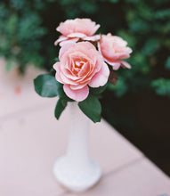 Load image into Gallery viewer, Rose Subscription, Shipping