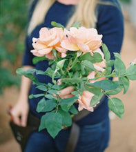 Load image into Gallery viewer, Rose Subscription, Shipping