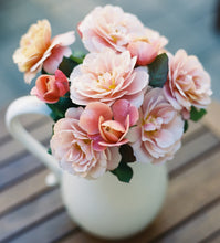 Load image into Gallery viewer, Rose Subscription, Shipping